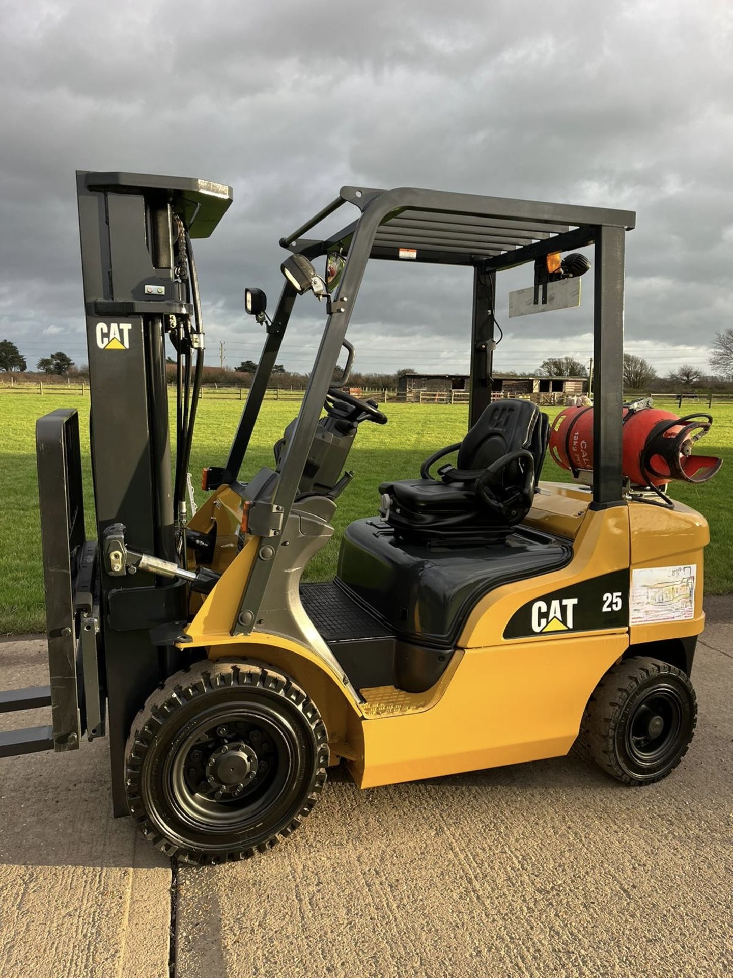 2017, CATERPILLAR 2.5 Tonne Gas Forklift (Container) Triple Mast - Image 8 of 10