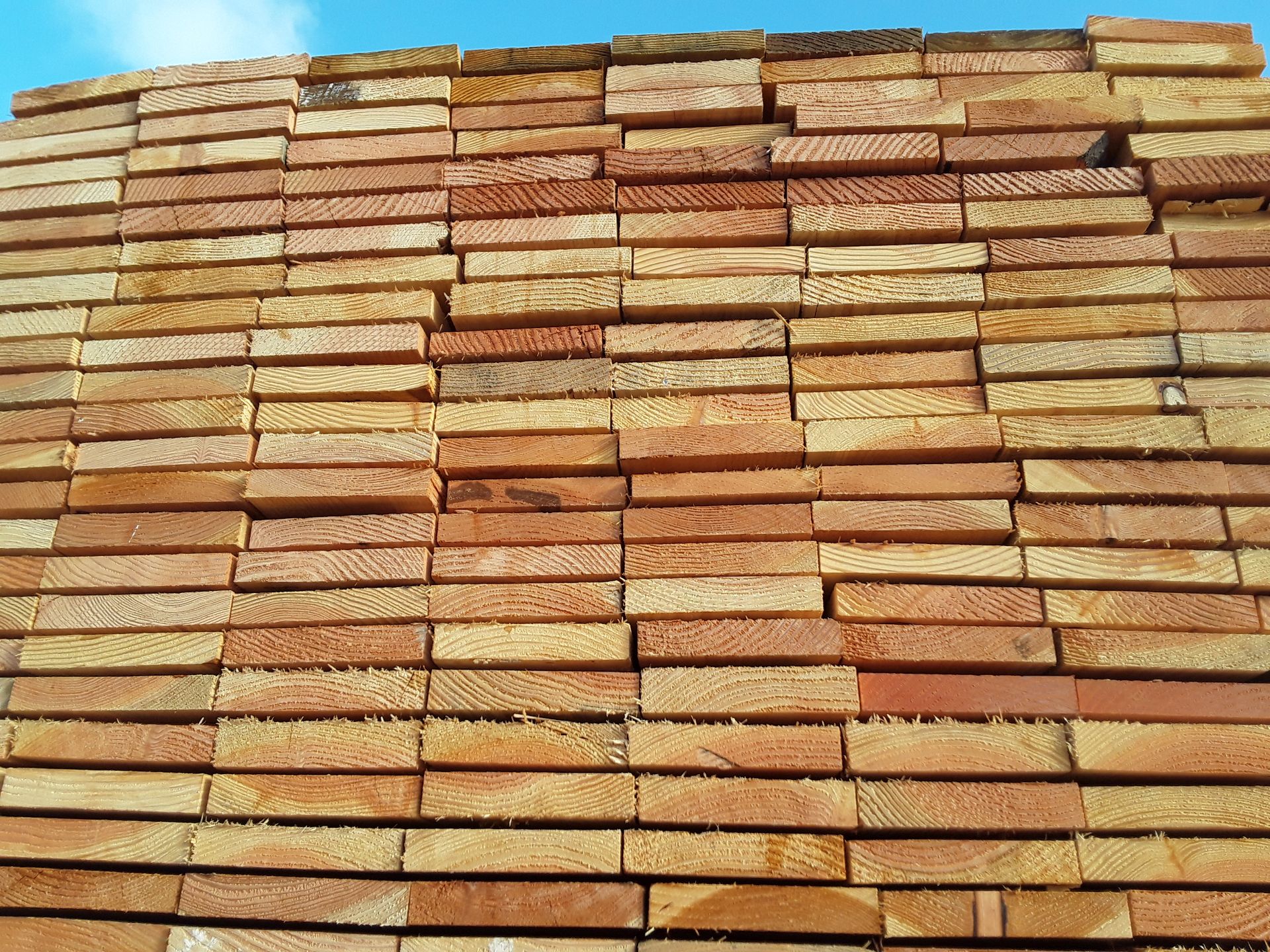 100x Fresh Sawn Softwood Mixed Larch / Douglas Fir Boards / Planks - Image 3 of 5