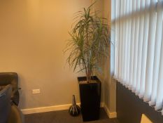 Fake Tree & Vase