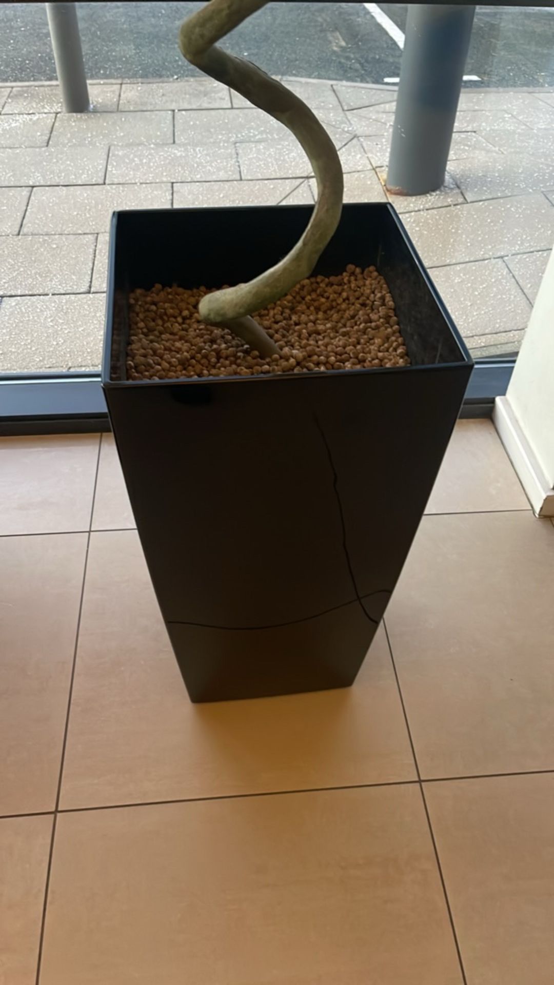 Topiary Tree & Plant Pot x2 - Bild 3 aus 3