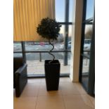 Topiary Tree & Plant Pot x2