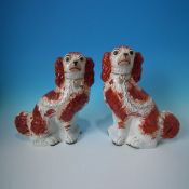 Pair Staffordshire Pottery russet & white curly tailed spaniels