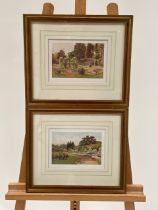 Garden Artwork Prints x2