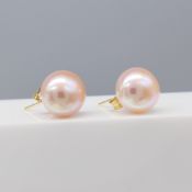 Pair of pink champagne oblate spheroid cultured pearl ear studs, with gift box