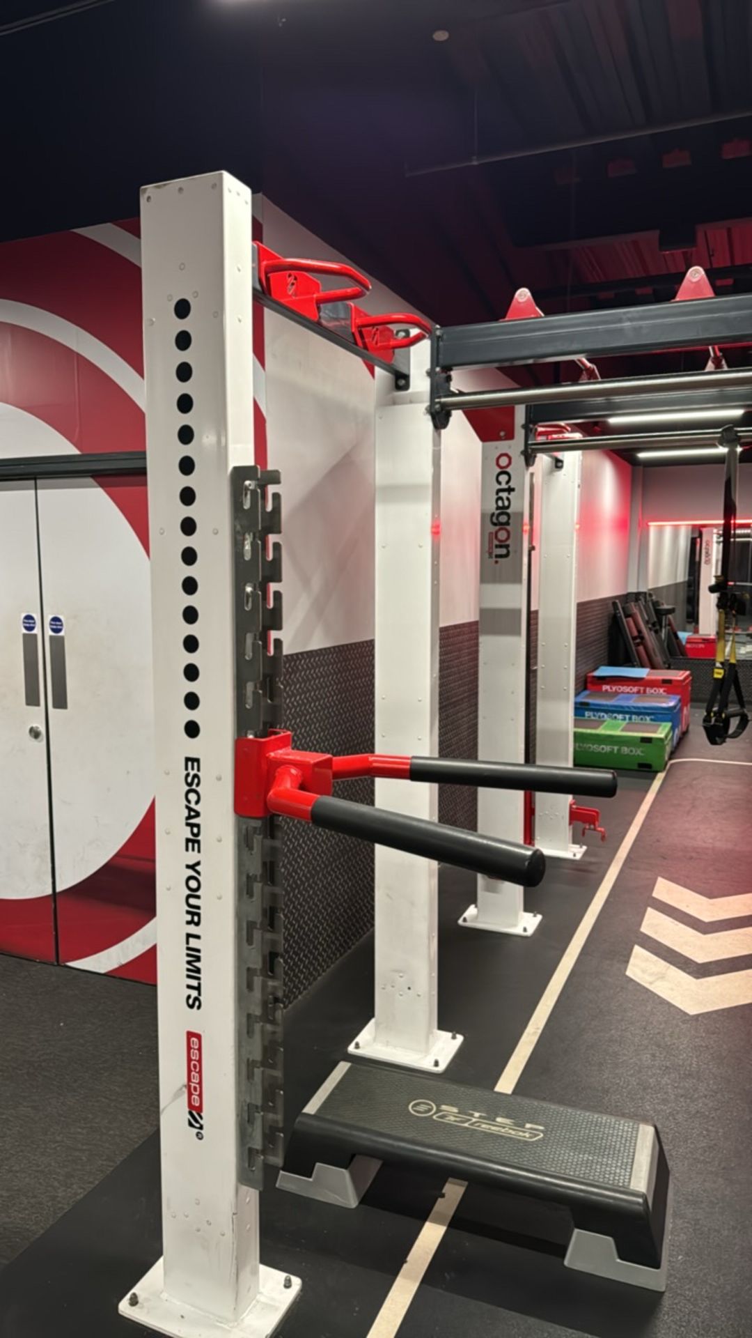 Octagon Escape Workout Rig - Bild 2 aus 8