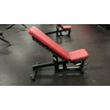 Technogym Adjustable Workout Bench