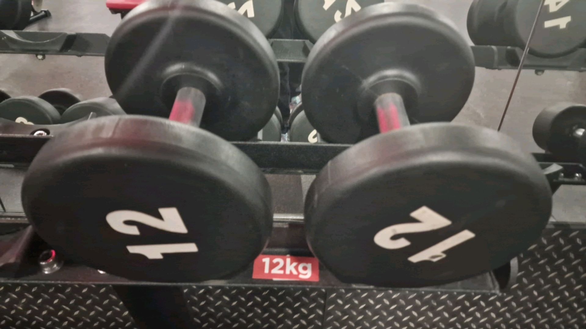 10kg,12kg, 14kg,16kg Dumbells