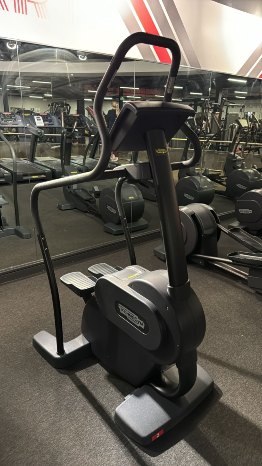 Technogym Stepper