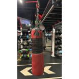 Everlast Punchbag