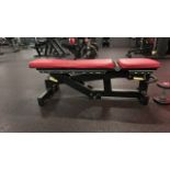 Technogym Adjustable Workout Bench