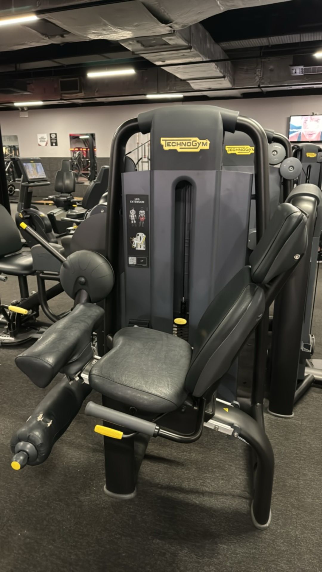 Technogym Leg Extension