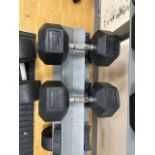 27.5 kg Dumbells x2