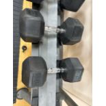 25kg Dumbells x2