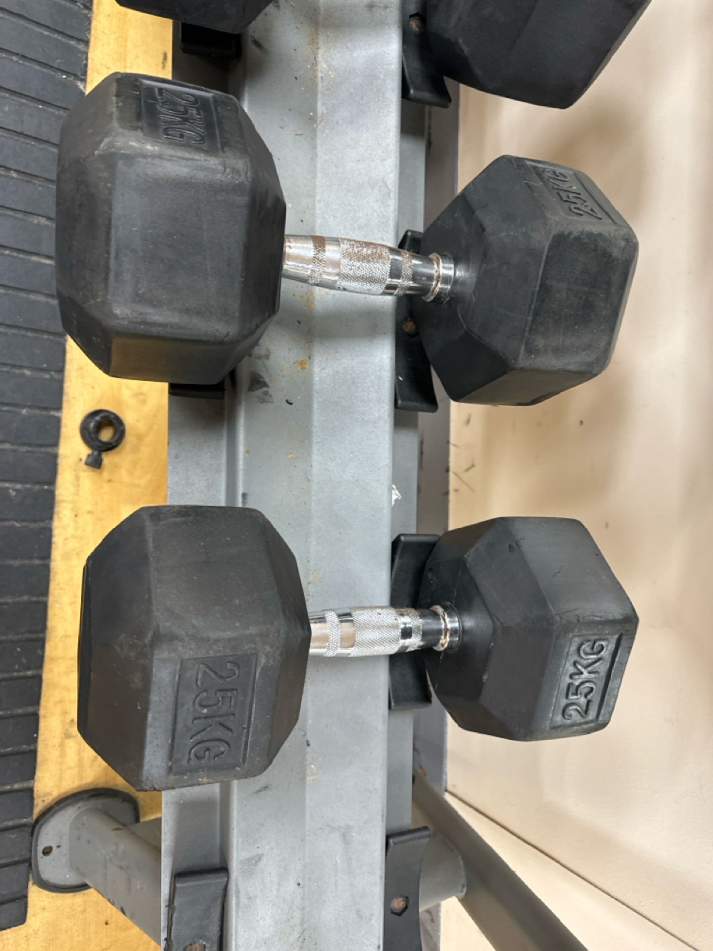 25kg Dumbells x2