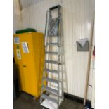Set Of CLIMA Ladders