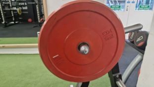 25kg Weight Plates x2