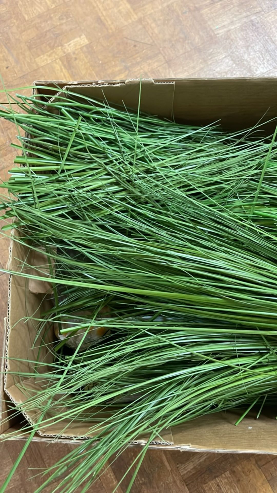 Box Of Artificial Grass - Image 2 of 3