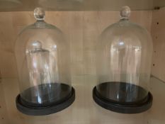 Pair Of Glass Bell Jars