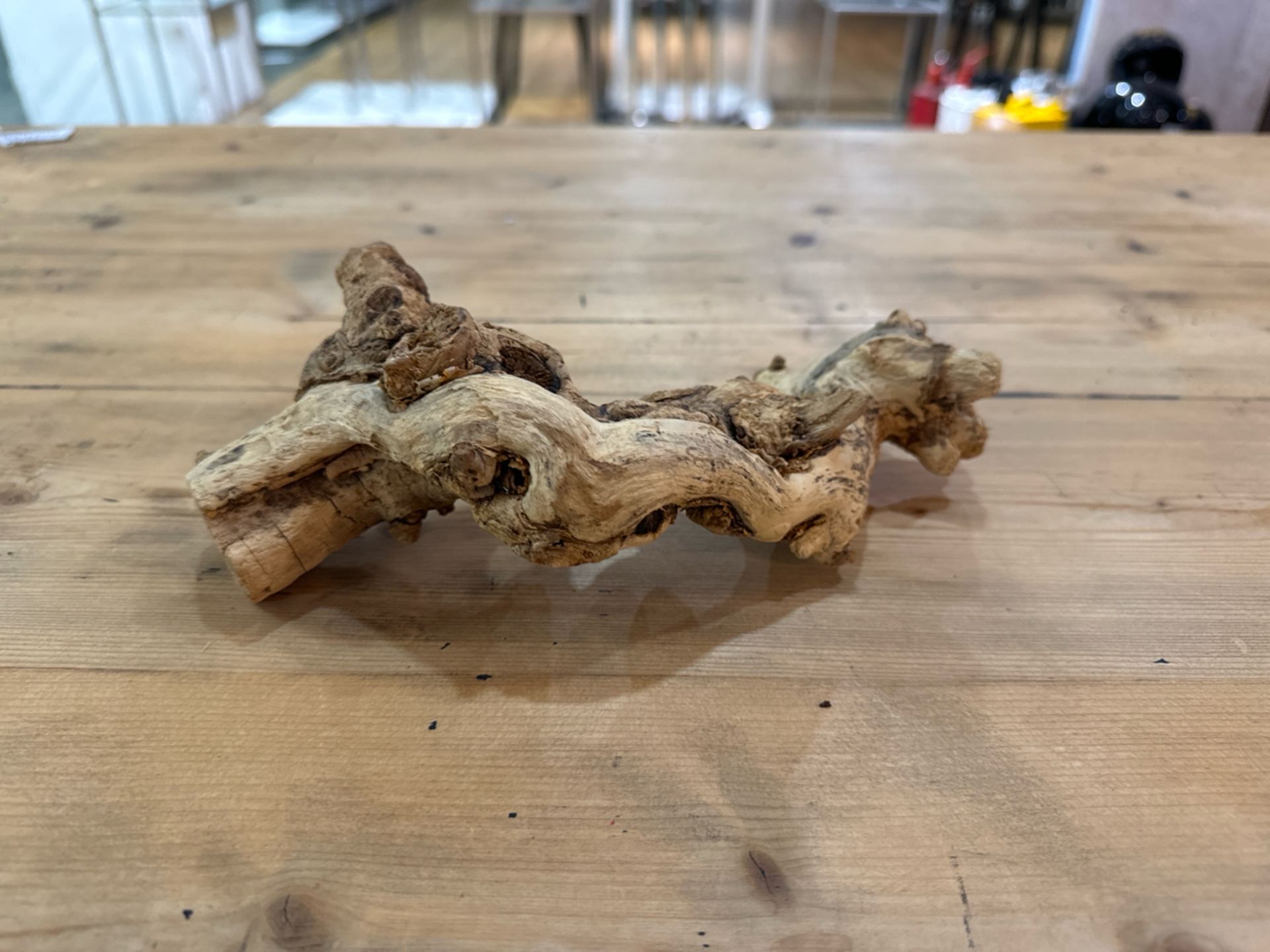 Piece Of Prop Driftwood