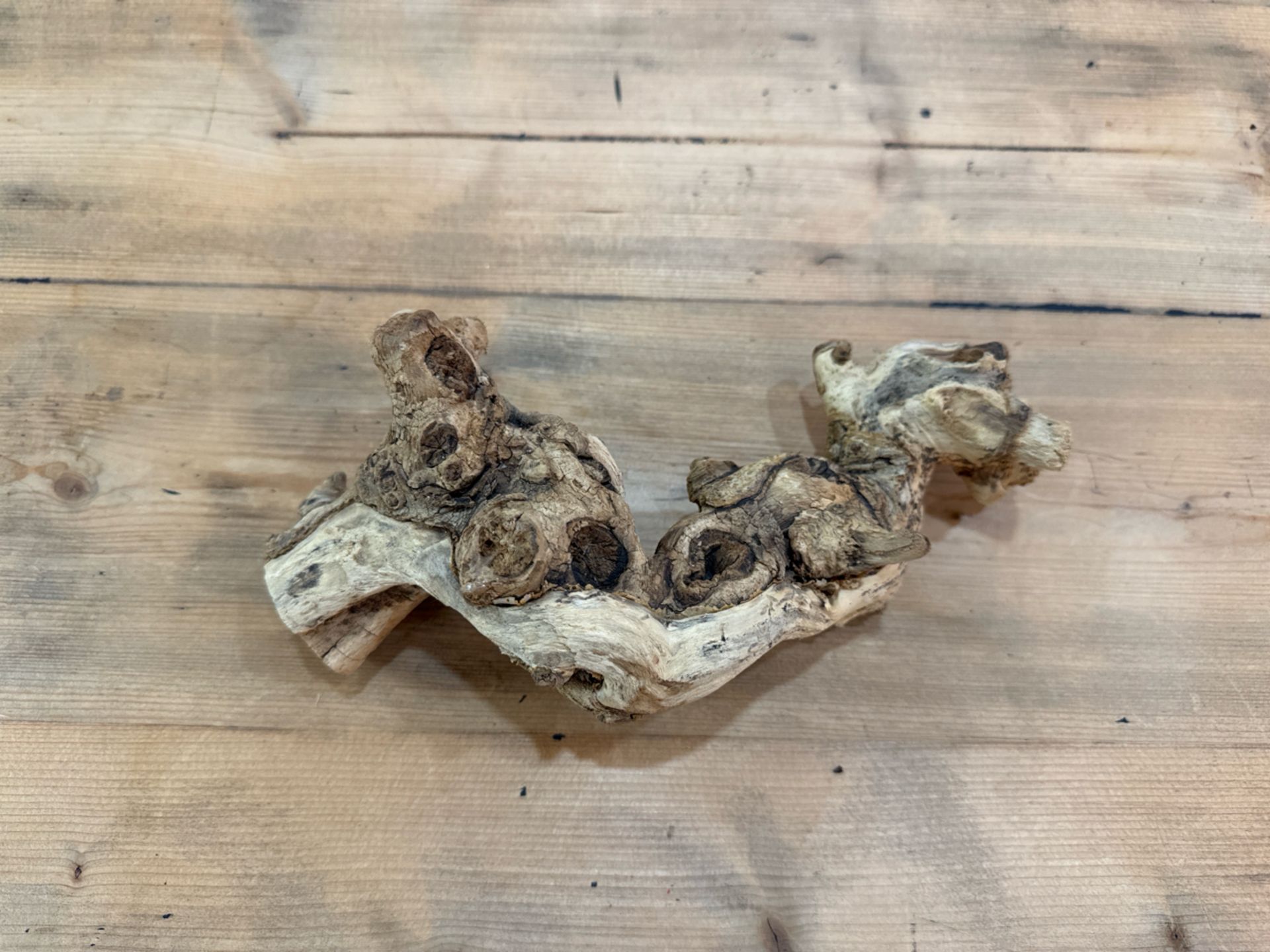 Piece Of Prop Driftwood - Image 2 of 3