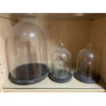 Glass Bell Jars x3