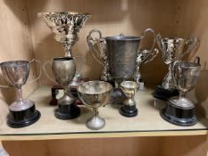 Selection Of Display Trophies