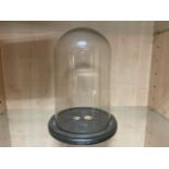 Tommy Hilfiger Glass Bell Jar