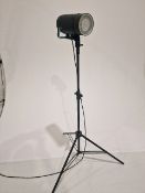 Broncolor Studio light