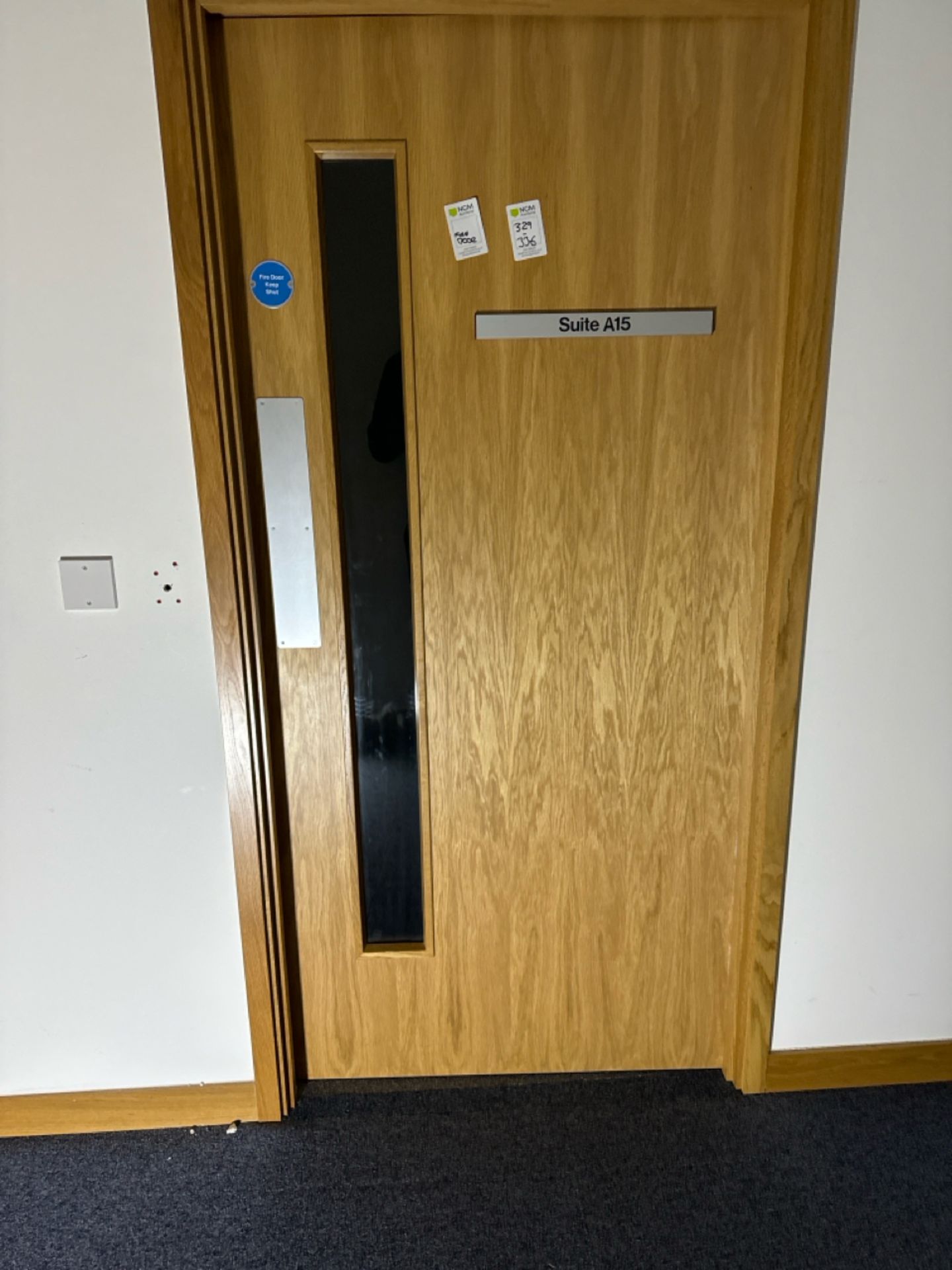 Single Fire Door