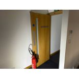 Single Fire Door