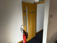 Single Fire Door