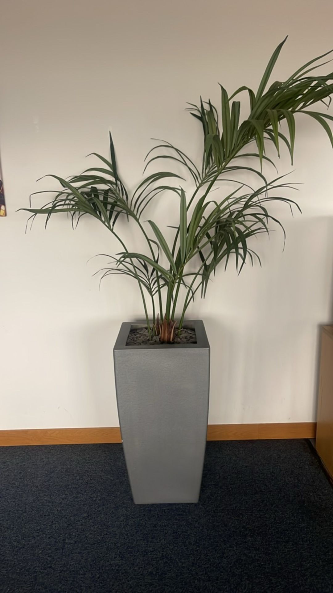 Artificial Plant & Large Pot x2 - Image 2 of 4