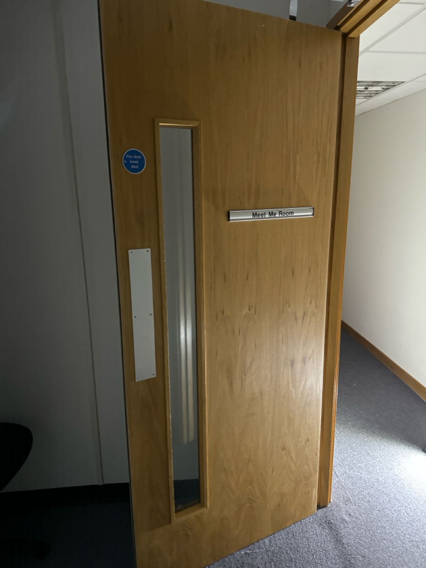 Single Fire Door - Image 2 of 3