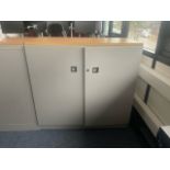 Metal Storage Cabinets x3