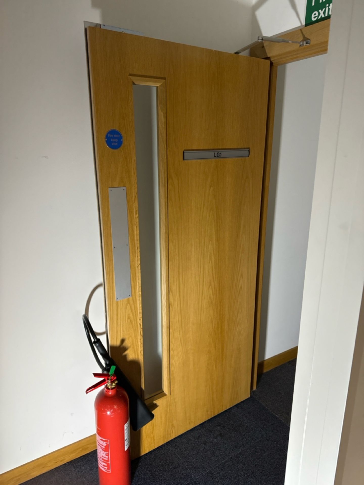 Single Fire Door - Image 3 of 4