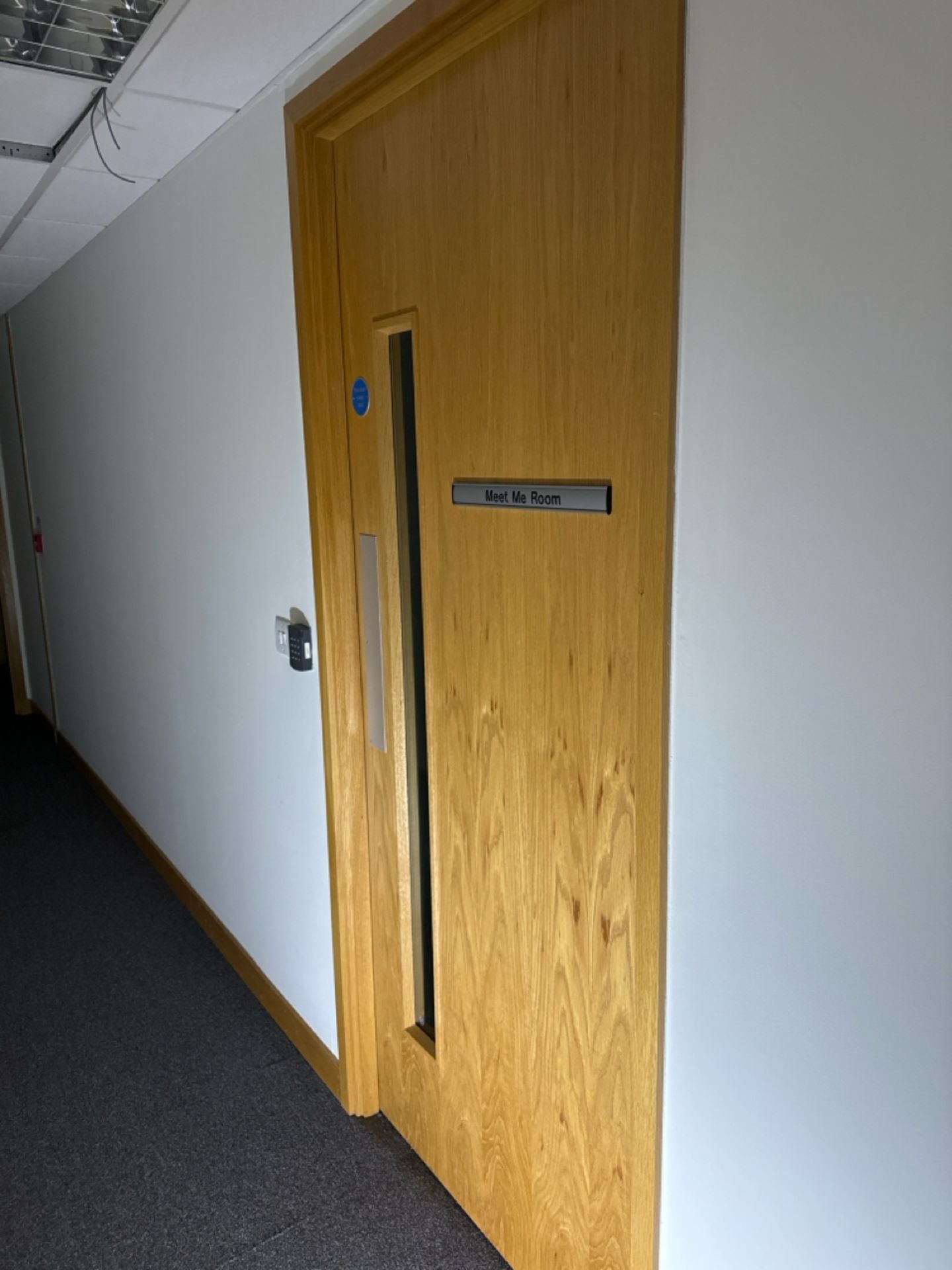 Single Fire Door