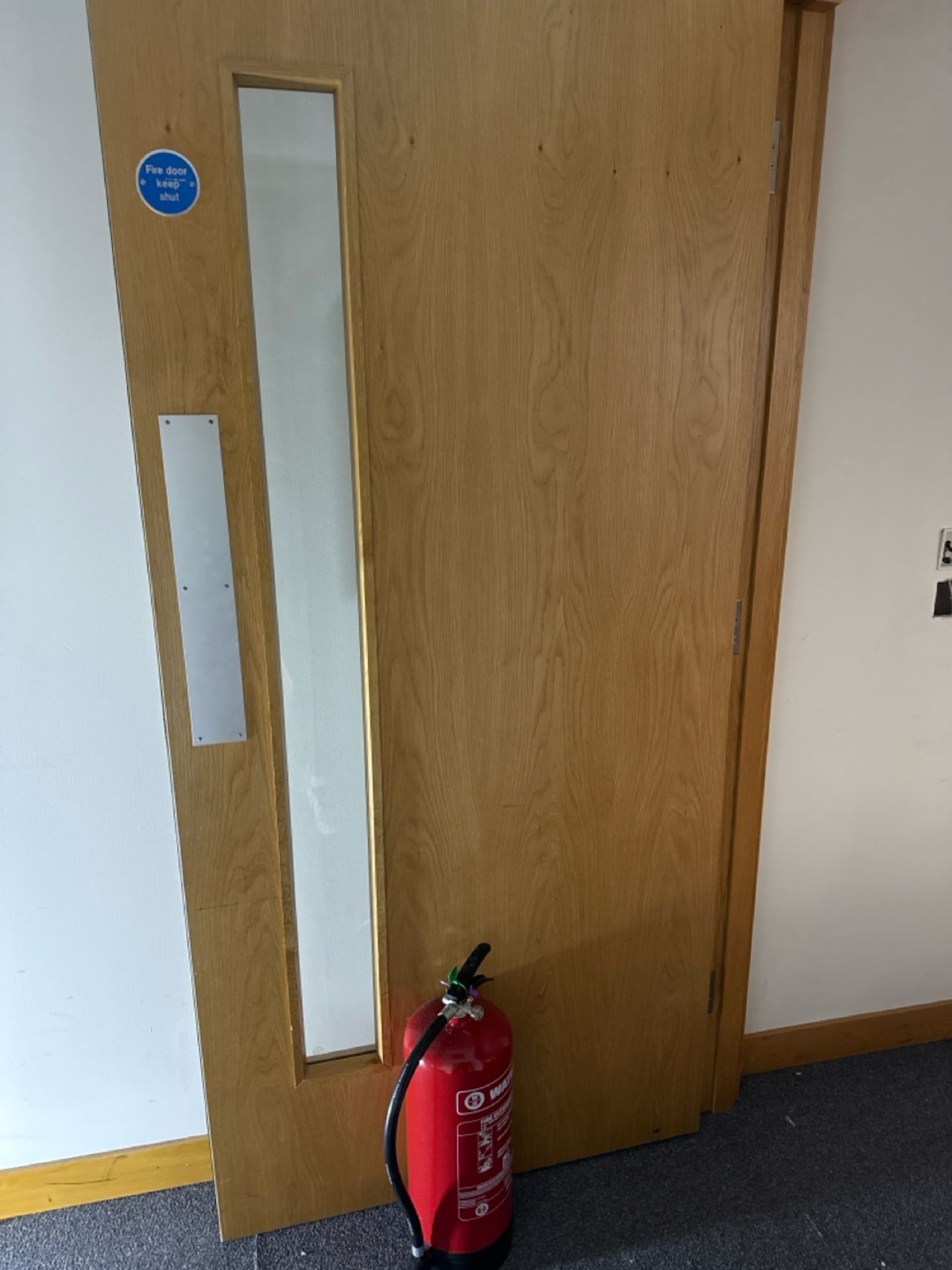 Single Fire Door