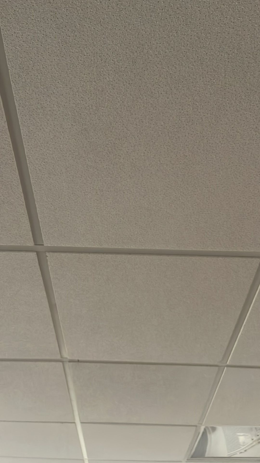 Ceiling Tiles - Image 2 of 5