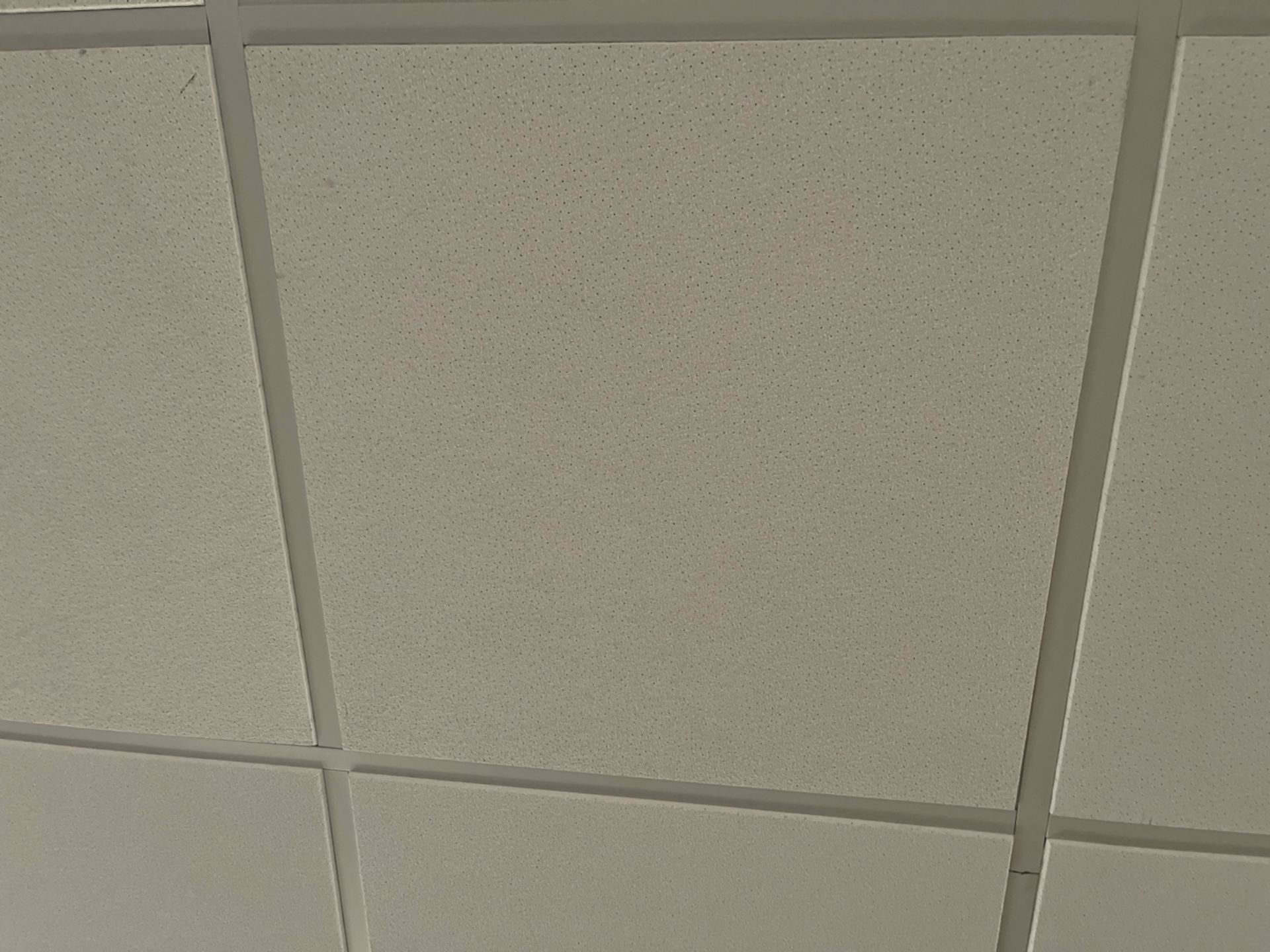 Ceiling Tiles