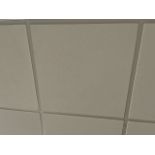 Ceiling Tiles