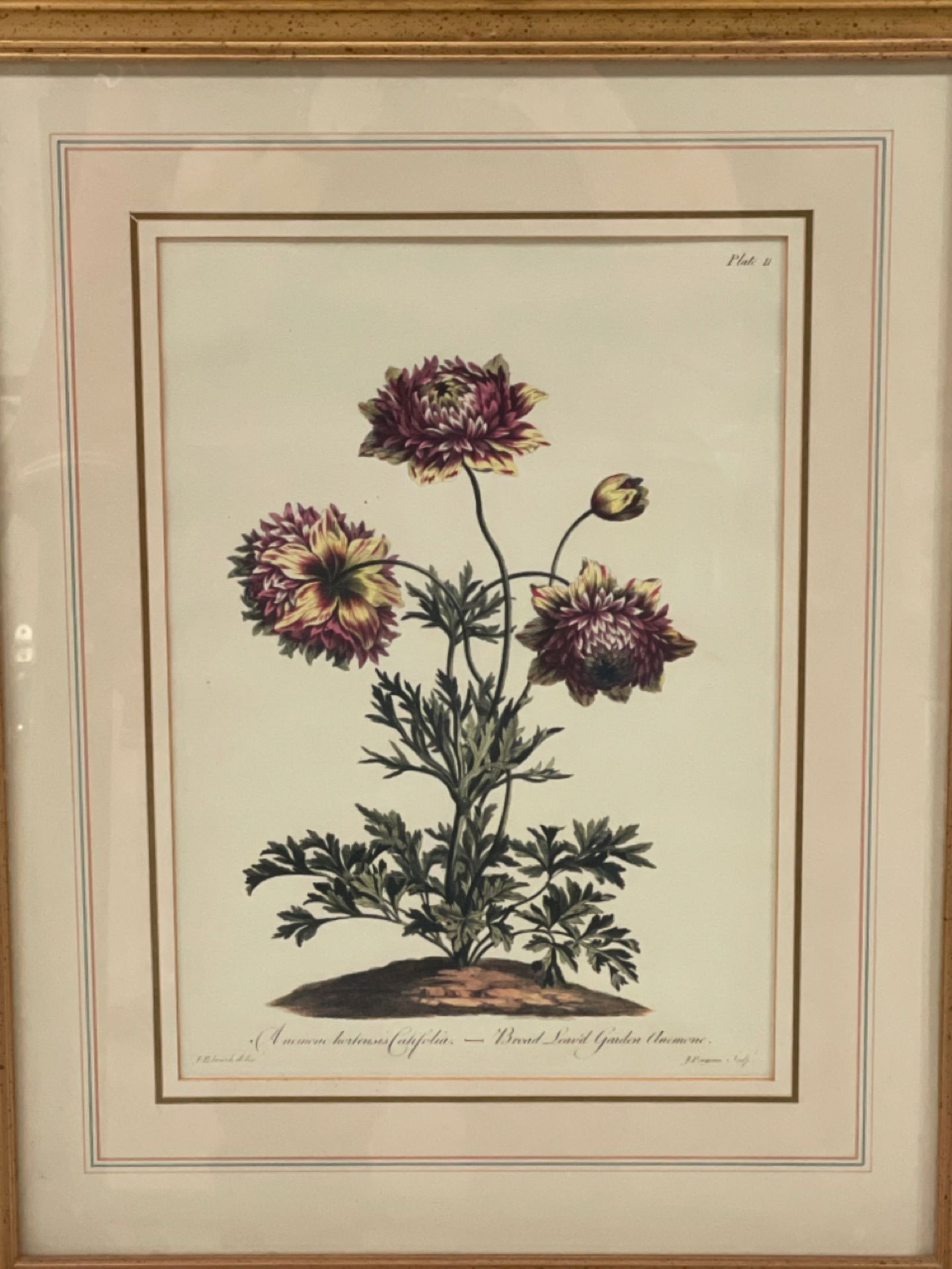 Flower Artwork Print From Claridge's Hotel - Image 2 of 2