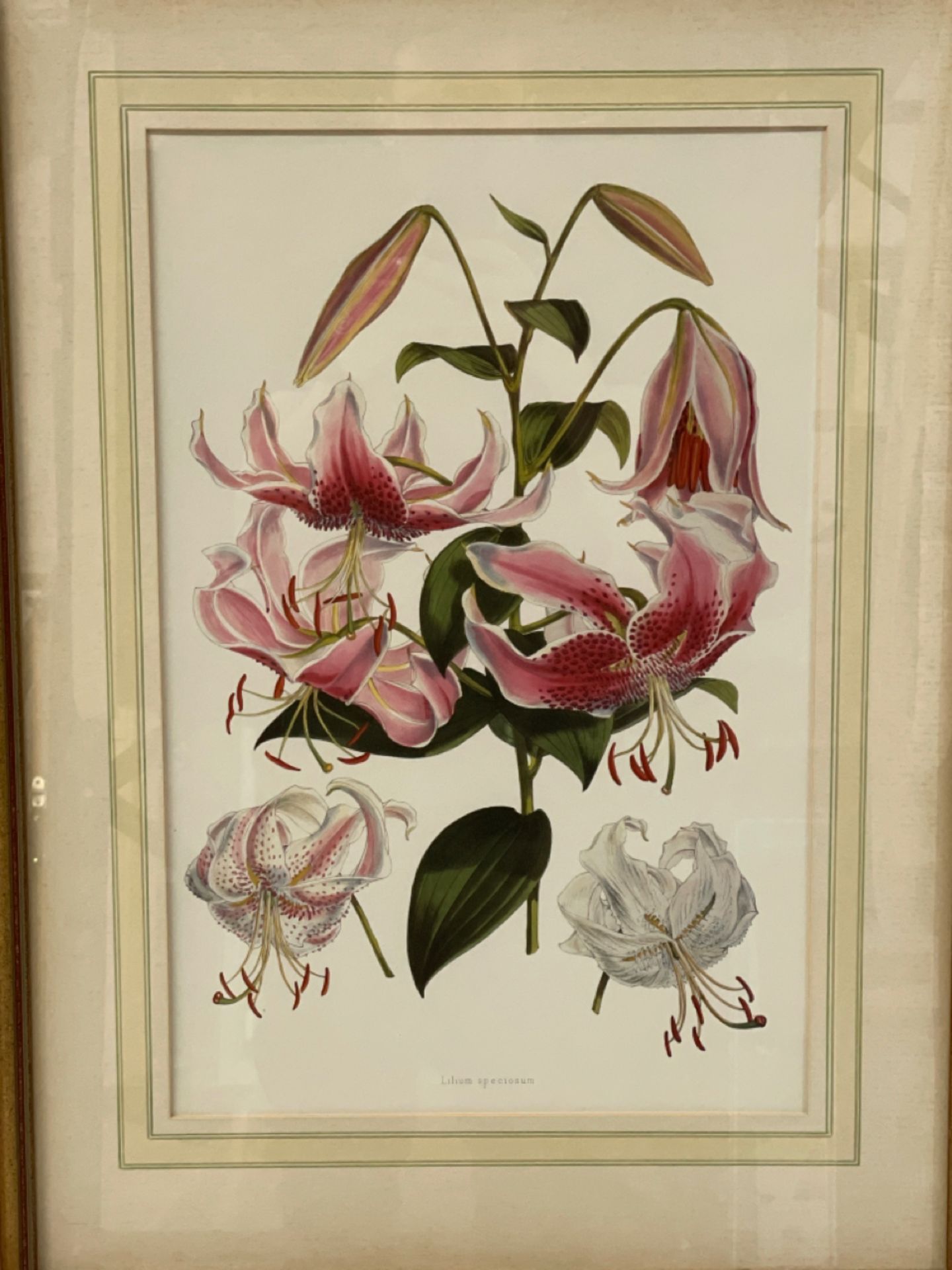 Flower Artwork Print From Claridge's Hotel - Image 2 of 2