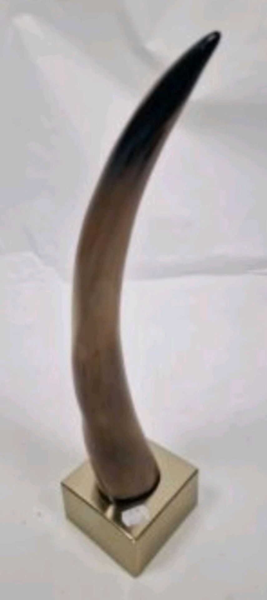 Horn Sculpture - Image 4 of 4