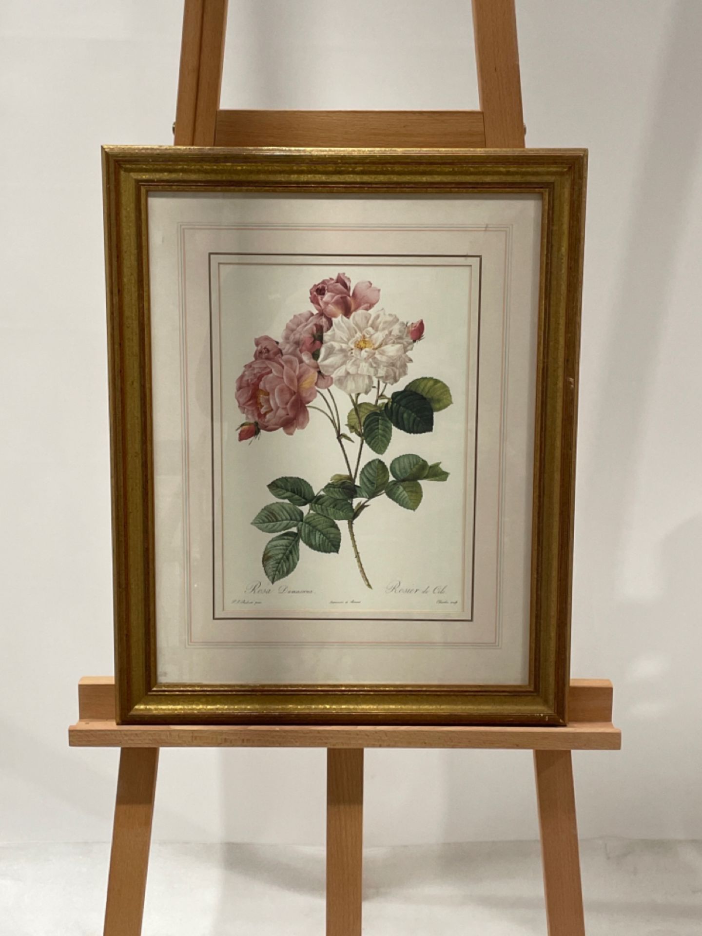 Flower Artwork Print From Claridge's Hotel