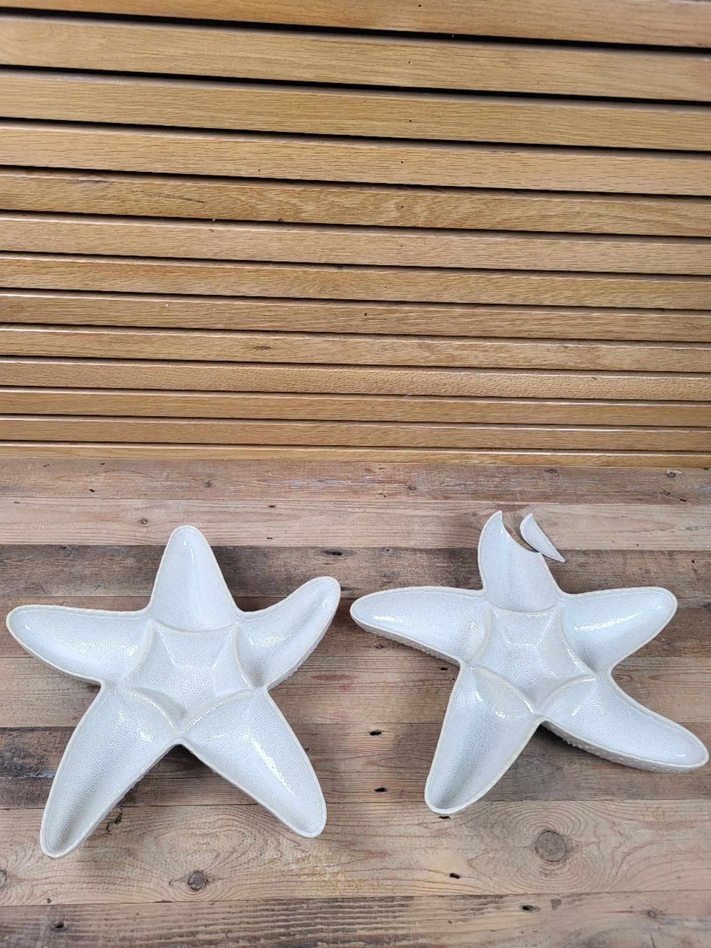 Pair of Starfish Serving Platters