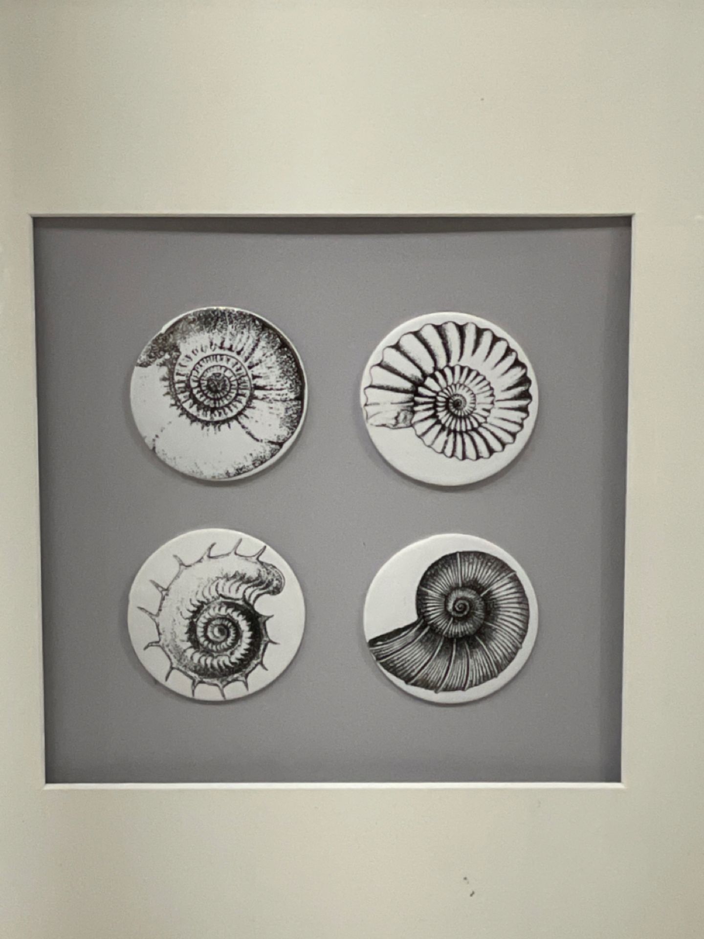 Artwork - Shells From Claridge's Hotel - Image 2 of 2