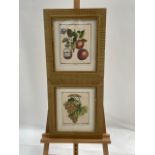 Fruit Artwork Prints Set Of 2 From Claridge's Hotel