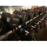 Eurosport Dumbells 22.5kg & 25kg