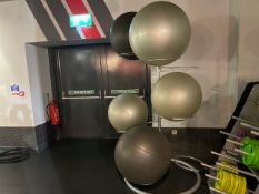 Exercise Balls x5 & Stand