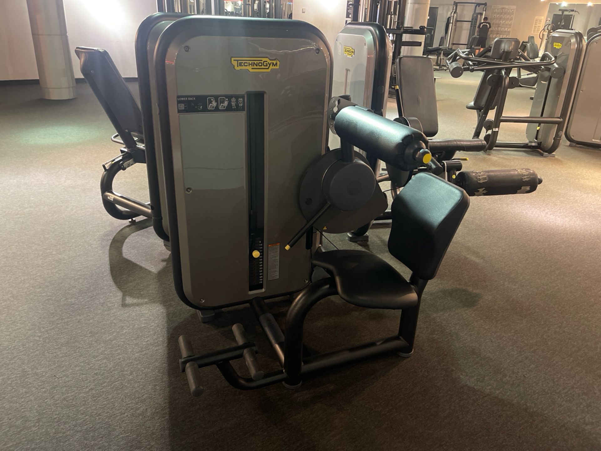 Technogym Lower back